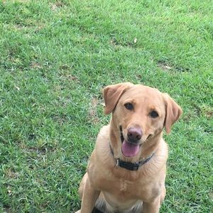 Meet your Posher, Maelee